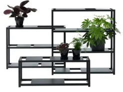 Adea The Botanic Shelf hylla, svart