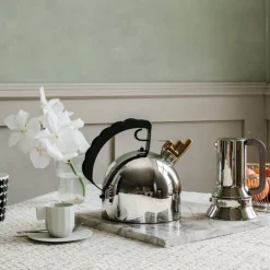 Alessi Kettle 9091