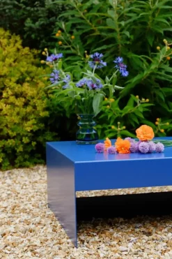 &New Single Form soffbord, blåbär