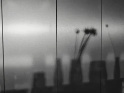 &Tradition Collect SC62 karaff 0,8 L, bärnsten