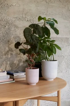 &Tradition Drop Leaf HM6 matbord, vitoljad ek