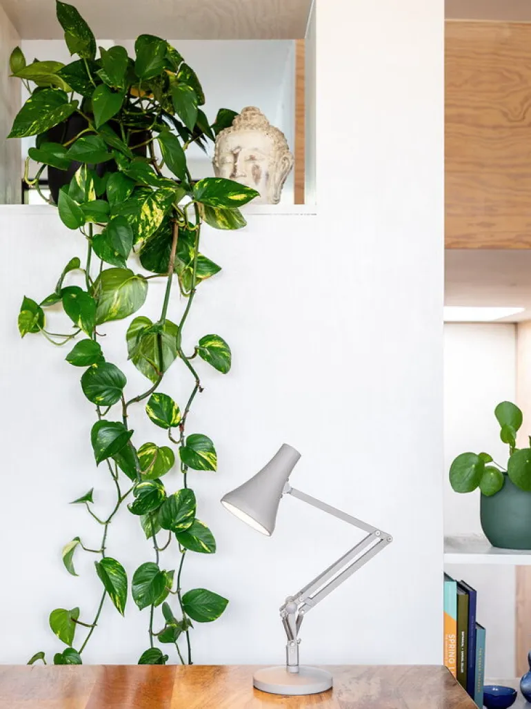 Anglepoise 90 Mini Mini skrivbordslampa, kexbeige