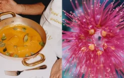 Apartamento Liguria: Recipes & Wanderings Along the Italian Riviera