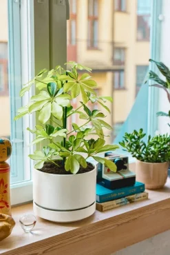 Arabia Arabia blomkruka SN, 19 cm, matt vit