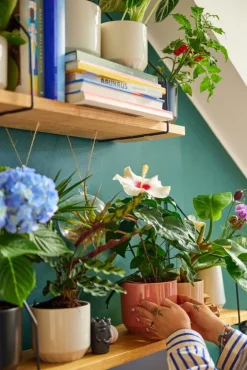 Arabia Ilona blomkruka, 120 x 140 mm, sand