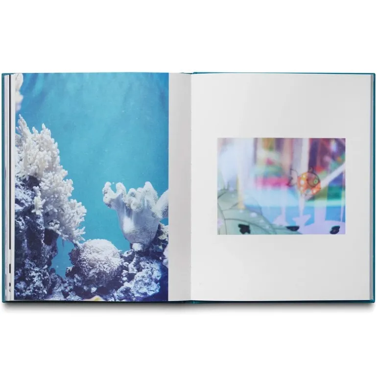 Art & Theory Publishing Louise Enhörning: Agape