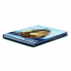 Art & Theory Publishing Bigert & Bergström: Solar Egg