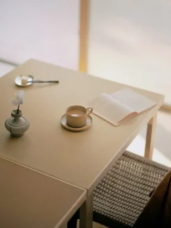 Artek Aalto klaffbord DL81C, björk - lera/valnöt linoleum