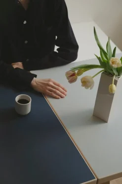 Artek Aalto klaffbord DL81C, björk - dimgrått/rökblått linoleum