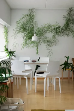 Artek Aalto pall 60, vit - björk