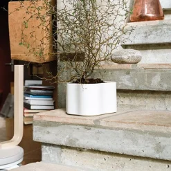 Artek Riihitie blomkruka B, liten, vitglansig