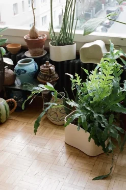 Artek Riihitie blomkruka B, liten, vitglansig