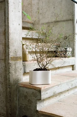 Artek Riihitie blomkruka B, medium, vitglansig