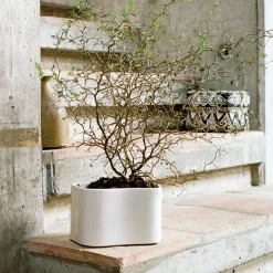 Artek Riihitie blomkruka B, medium, vitglansig