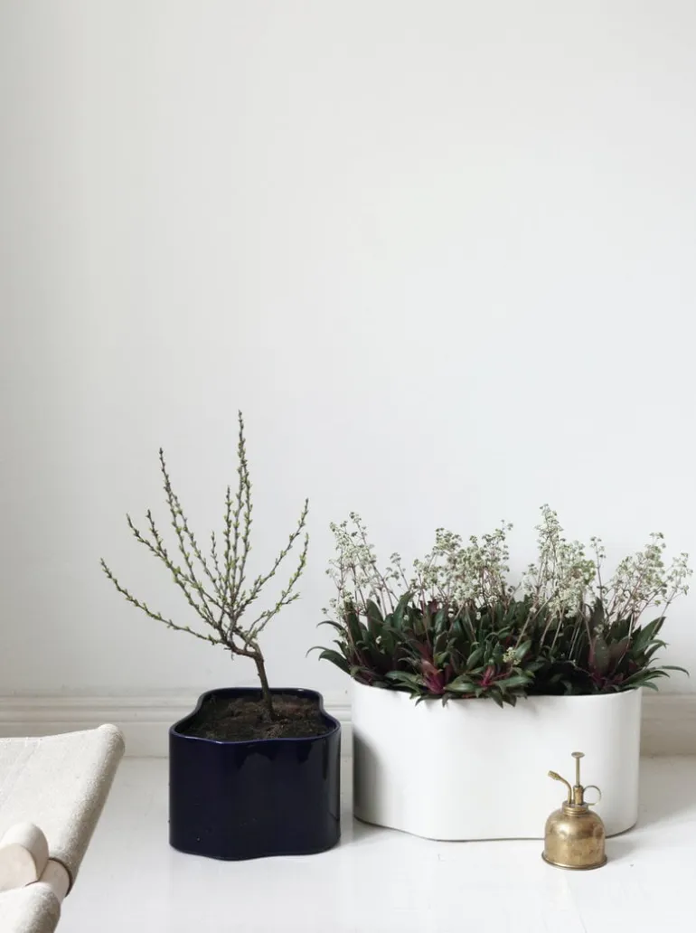 Artek Riihitie blomkruka B, medium, blåglansig