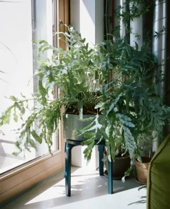 Artek Riihitie blomkruka A, stor, ljusgrå