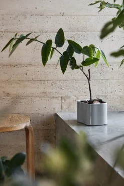 Artek Riihitie blomkruka B, liten, ljusgrå