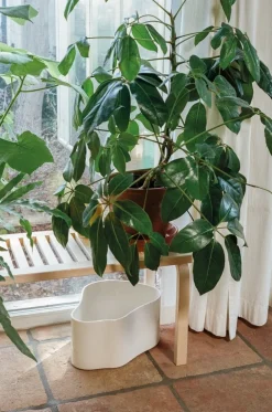 Artek Riihitie blomkruka A, stor, vitglansig