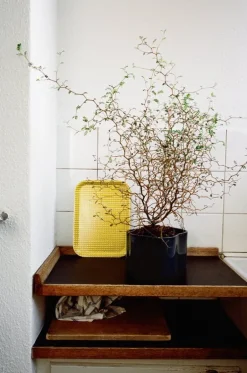 Artek Rivi bricka, 43 x 33 cm, senap - vit