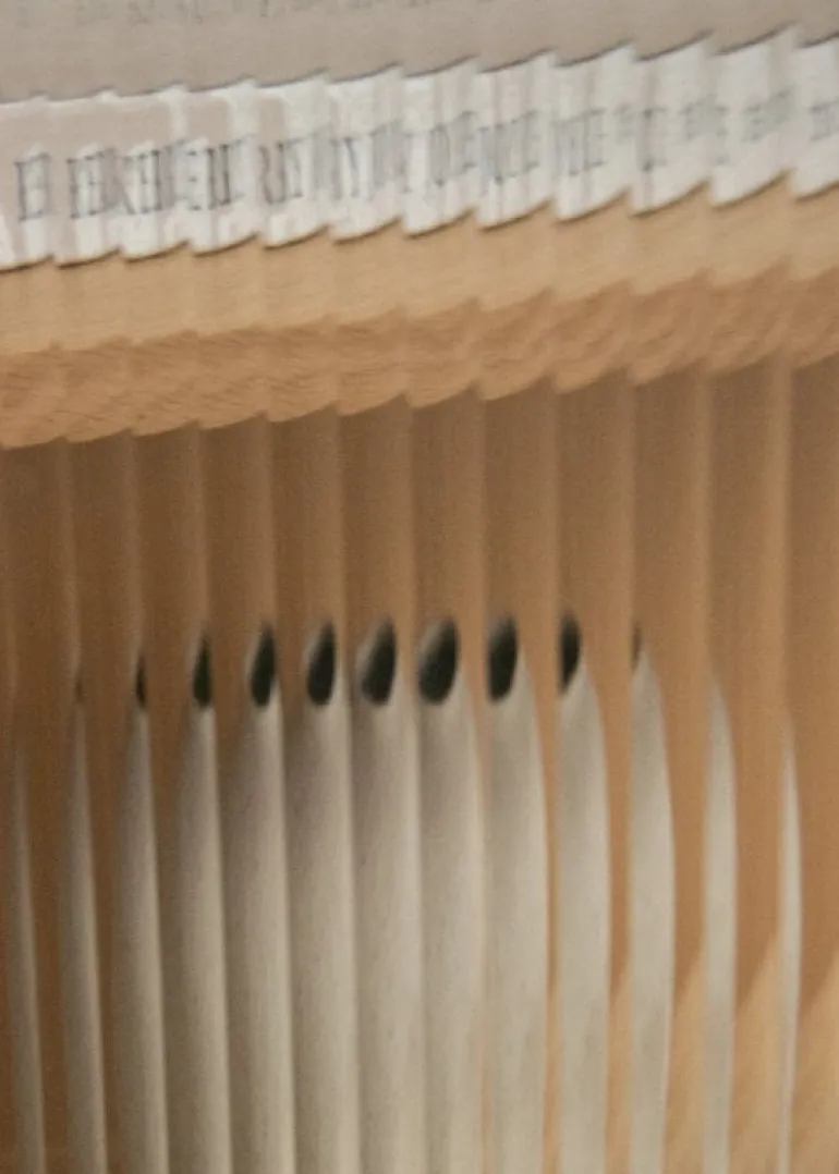 Audo Copenhagen Curiosity skåp, lågt, ek - glas