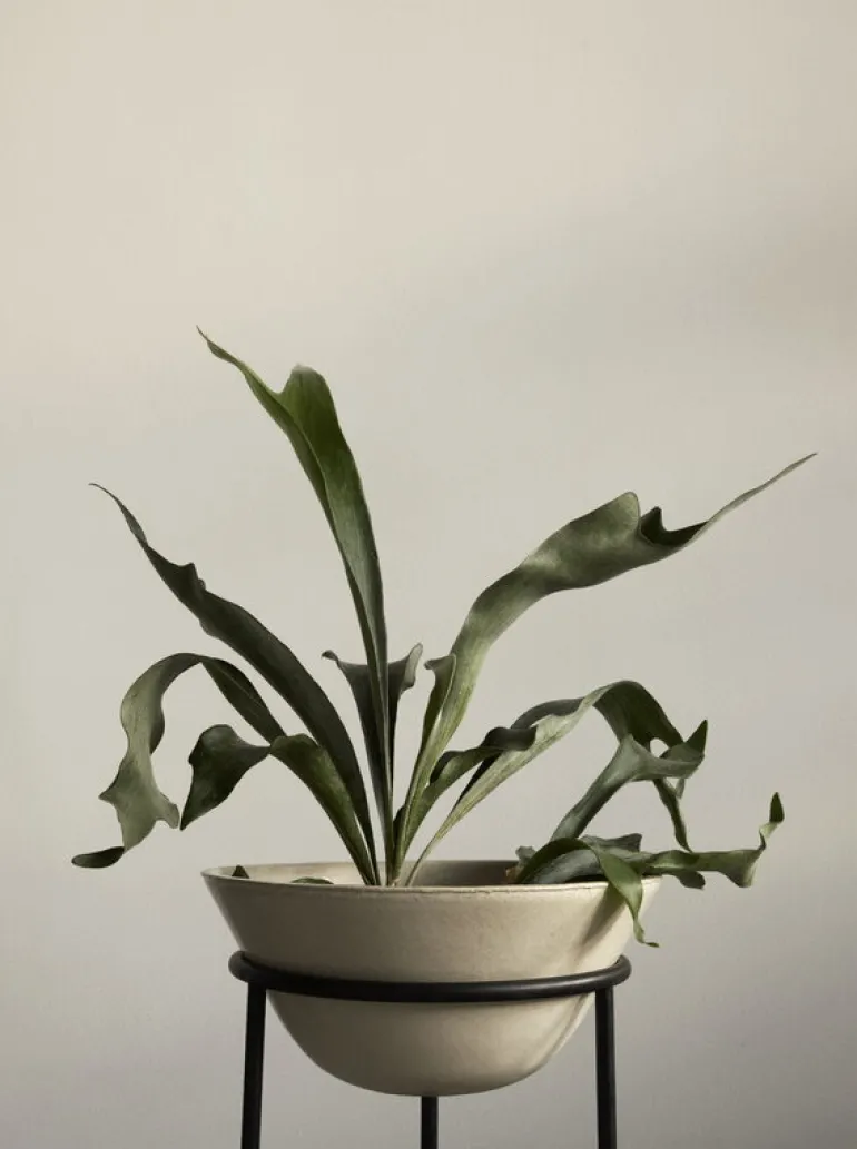 Audo Copenhagen Daiza blomkruka, 45 x 35 cm, elfenben