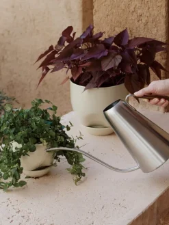 Audo Copenhagen Hydrous blomkruka, 12 cm, askgrå