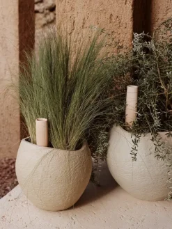 Audo Copenhagen Plantas blomkruka, 26 cm, elfenben