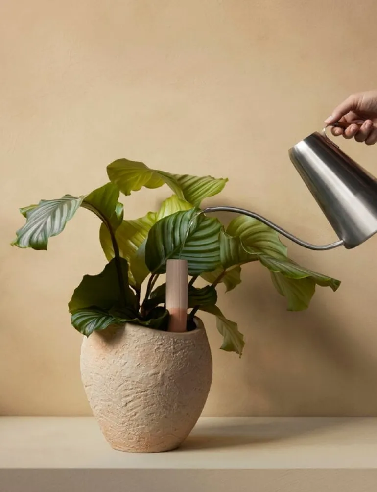 Audo Copenhagen Plantas blomkruka, 24 cm, elfenben