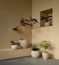 Audo Copenhagen Plantas blomkruka, 24 cm, elfenben