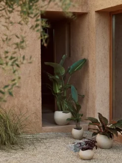 Audo Copenhagen Plantas blomkruka, 17 cm, elfenben