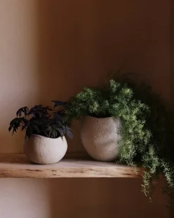 Audo Copenhagen Plantas blomkruka, 17 cm, elfenben