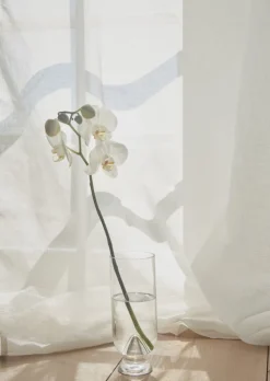 AYTM Glacies vas, M, klar