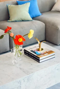 AYTM Glacies vas, S, klar