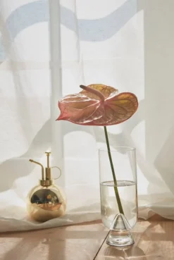 AYTM Globe blomspruta, guld