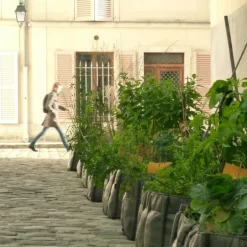 Bacsac Bacsquare 4 kruka i tyg, 140 L