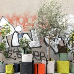 Bacsac Batyline kruka, asfalt