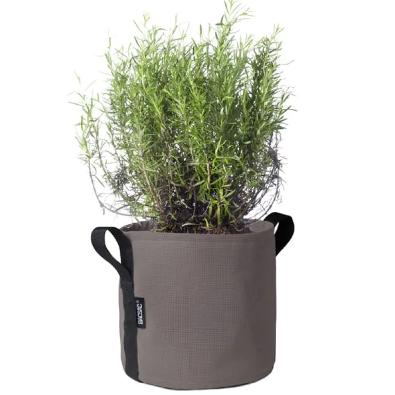 Bacsac Batyline kruka, brungrå