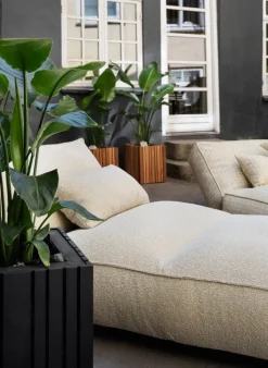 Blomus Stay kudde, 80 x 40 cm, Reah Sun, specialutgåva