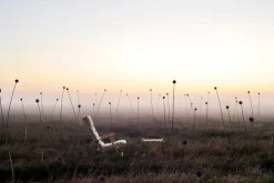 Carl Hansen & Søn BM5768 fotpall för däckstol, teak - off-white