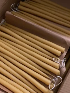 Collaboratorio Candela ljus, 31 cm, 2 st, honung