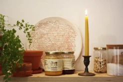 Collaboratorio Candela ljus, 23 cm, 6 st, honung