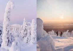 Cozy Publishing Food Over the Campfire - Recipes for Day Hikes and Wilderness Treks