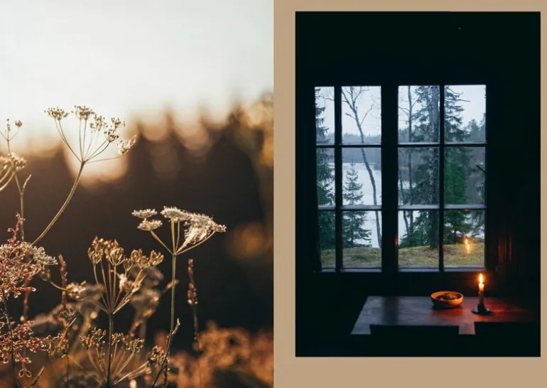 Cozy Publishing Four Seasons of Cabin Cooking