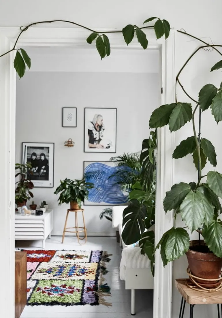 Cozy Publishing Green Home Book