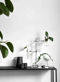 Cozy Publishing Green Home Book