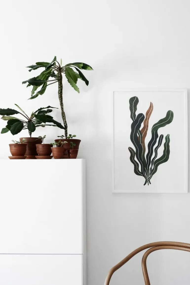 Cozy Publishing Green Home Book