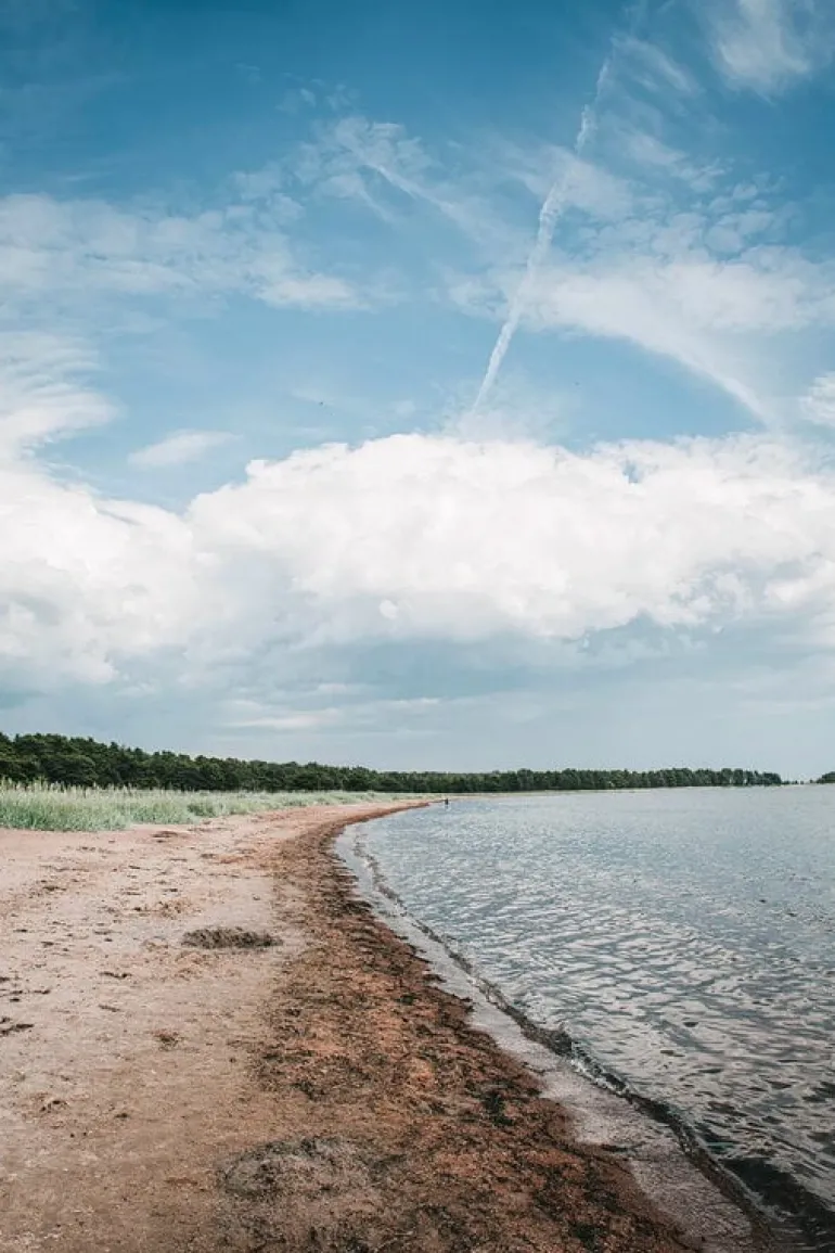 Cozy Publishing Hemgjort - Hemligheterna bakom tidlösa interiörer