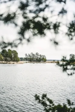Cozy Publishing Hemgjort - Hemligheterna bakom tidlösa interiörer
