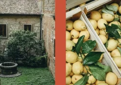 Cozy Publishing La Nostra Cucina Povera - Everyday Italian Eats