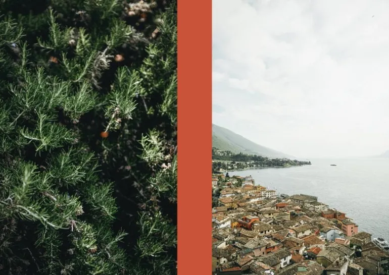 Cozy Publishing La Nostra Cucina Povera - Everyday Italian Eats